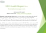 do professional website audit and SEO analysis find out errors